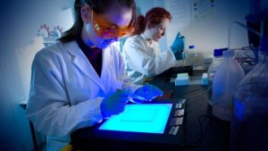 El duro techo de cristal de la mujer en la ciencia