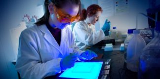 El duro techo de cristal de la mujer en la ciencia El duro techo de cristal de la mujer en la ciencia