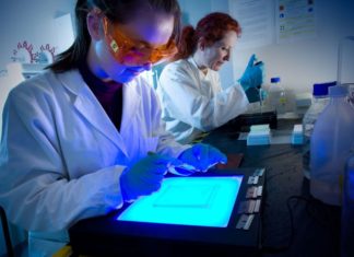 El duro techo de cristal de la mujer en la ciencia