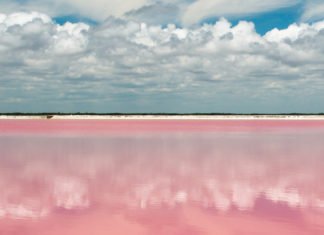 FUNDACIÓN WOMAN’S WEEK os desea un feliz verano