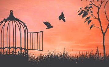 Libertad, un sentimiento emocional